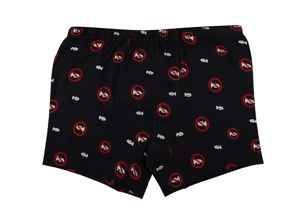 Bokserice Za Dječake - Tinejdžerski Uzrast