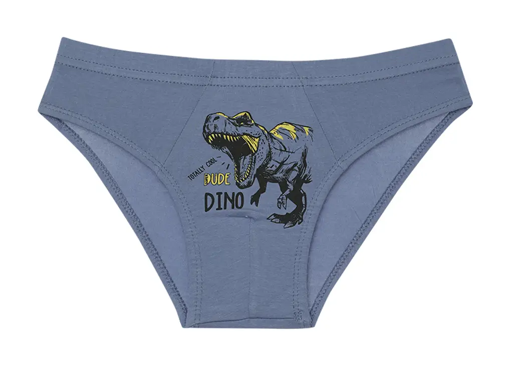 Gaćice Za Dječake - Print T-Rex