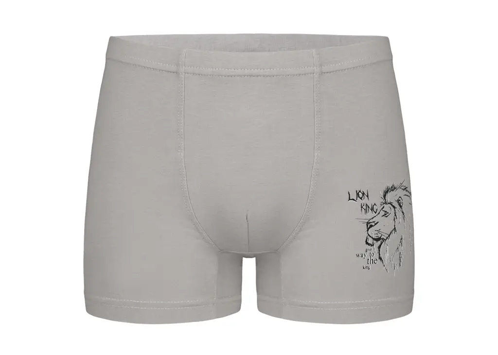 Bokserice Za Dječake - Tinejdžerski Uzrast