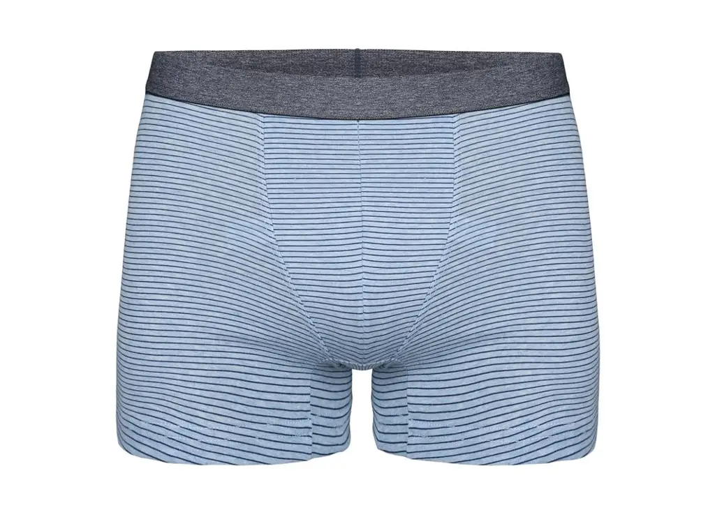 Bokserice Za Dječake - Tinejdžerski Uzrast