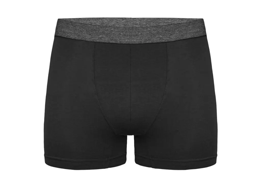 Bokserice Za Dječake - Tinejdžerski Uzrast