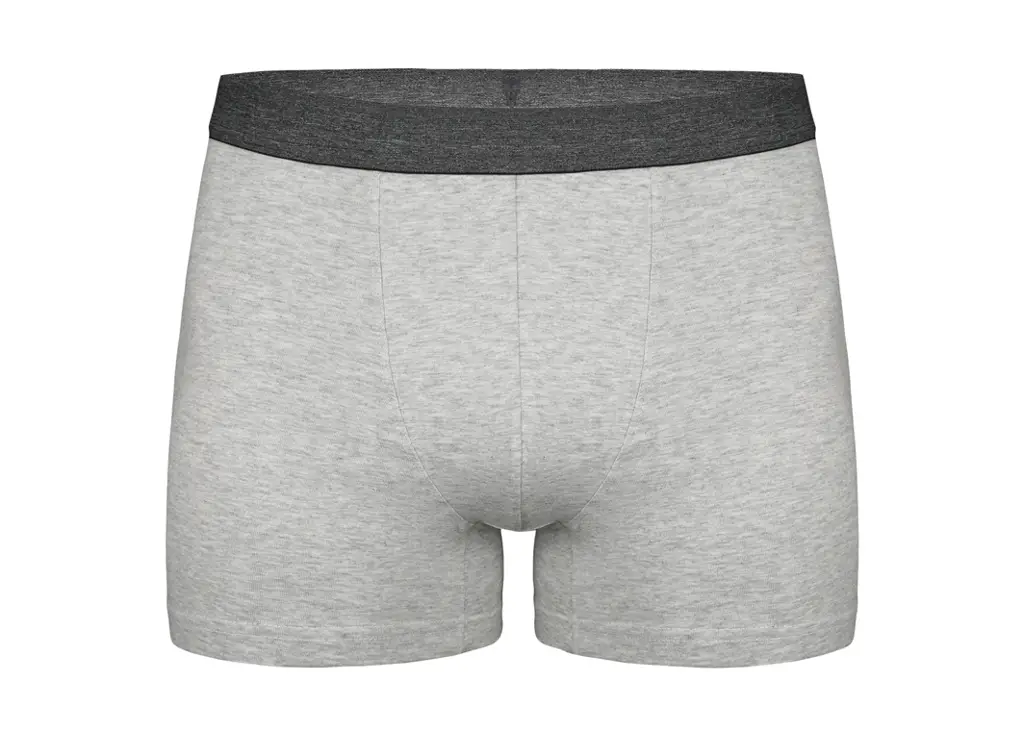 Bokserice Za Dječake - Tinejdžerski Uzrast